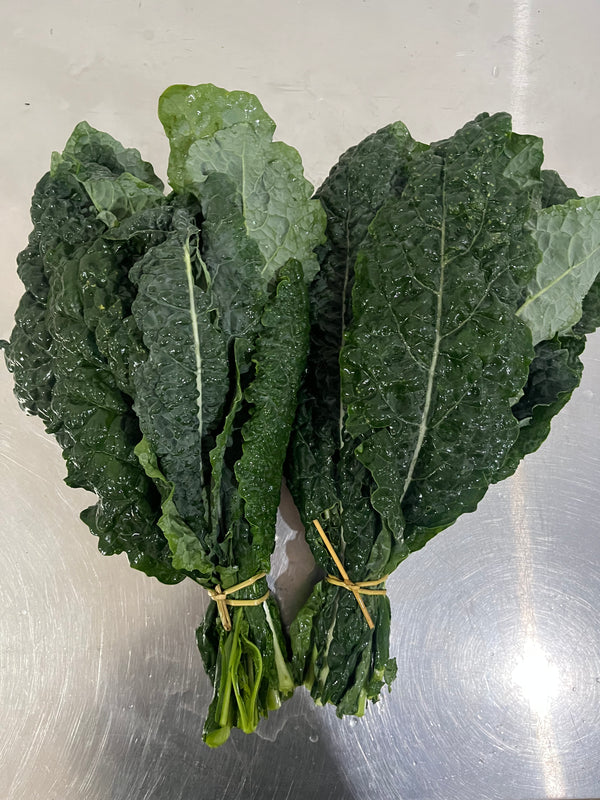Kale liso l Romaine organico