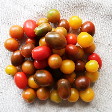 Tomates Cherry de colores de Invernadero  500 gr