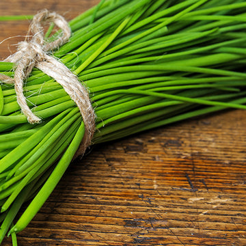 Chives Orgánicas 10 gr