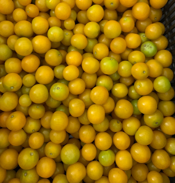 Cherry amarillo 500 gr