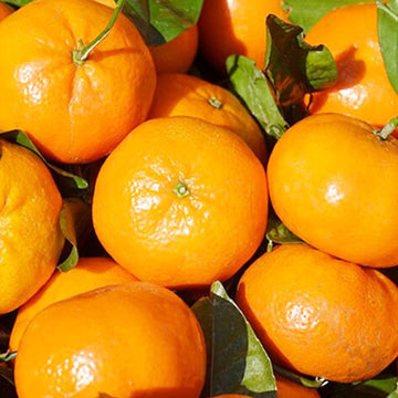 Mandarina   sin pepa  x kg